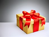 Jaký dárek jste v dtství nesnáeli, ale te by se vám líbil?