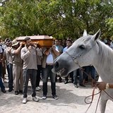 Dojemný okamžik na brazilském pohřbu. Bílý kůň Sereno se rozplakal, když viděl...