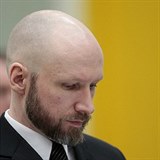S oholenou hlavou a precizn zastienm plnovousem psob Breivik...