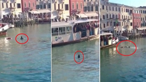 Ped zraky stovek lidí skoil do jednoho z benátských kanál dvaadvacetiletý...