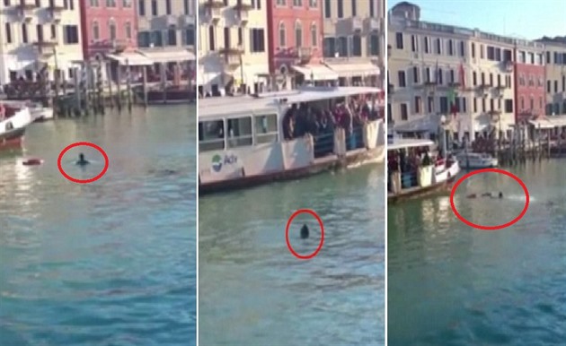 Před zraky stovek lidí skočil do jednoho z benátských kanálů dvaadvacetiletý...