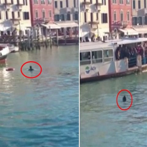 Před zraky stovek lidí skočil do jednoho z benátských kanálů dvaadvacetiletý...
