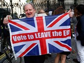 Britové si sice v referendu odhlasovali, e chtjí vystoupit z EU, nicmén...