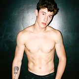 Shawn Mendes