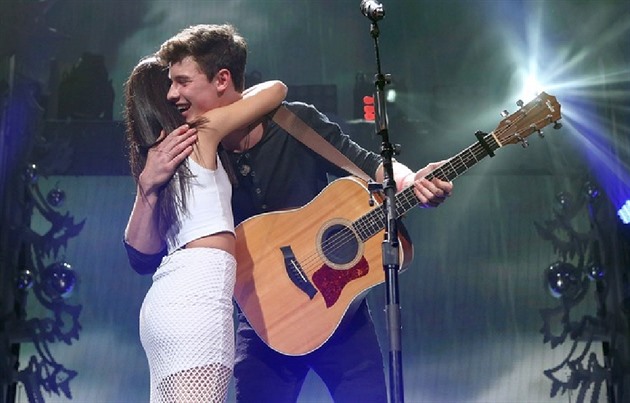 Shawn Mendes / Camila Cabello