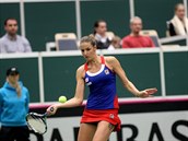 Karolína Plíková je nae nejlepí tenistka.