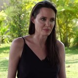 Jolie poprvé promluvila o rozpadu manželství.