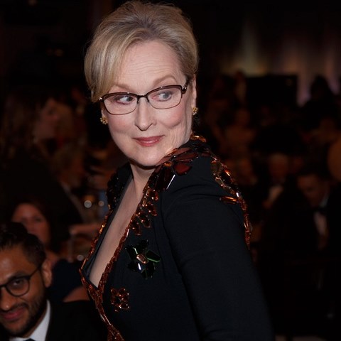 Meryl Streep se ct Lagerfeldovm obvinnm pokozen a jeho omluvu nepijm.