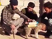 tn nakonec zachránili irátí rebelové, kteí také ve natoili na video.