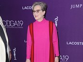 Doká se Meryl Streep dalího Oscara?