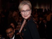 Meryl Streep se cítí Lagerfeldovým obvinním pokozená a jeho omluvu nepijímá.