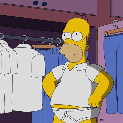 Homer Simpson je bojovnkem za prva vech tlustch mu.