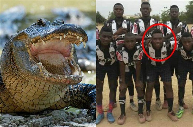 Fotbalistu sndl krokodýl.