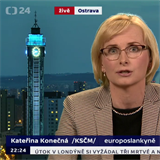 Europoslankyn Kateina Konen se s Bohuslavem Chalupou neshodla na niem .
