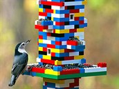 V zim oceníte Lego krmítko pro ptactvo