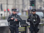 V ulicích Londýna je moné potkat i ozbrojené jednotky, ovem stráník, tzv....