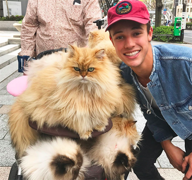 Cameron Dallas si uívá v Tokyu.