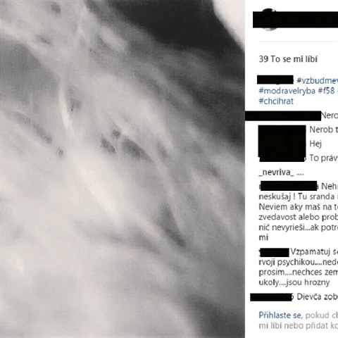 Na Instagramu se mezi eskou mlde  sebevraedn Modr velryba
