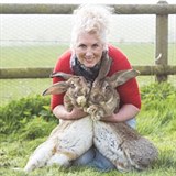 Annette Edwards je bývalá playmate. Dnes se zabývá právě chovem obřích králíků.
