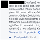 Vyhozen sleny s hkem nkdo oznauje dokonce za rasismus. Jak k tomu...