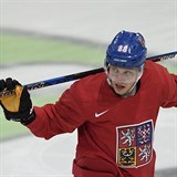 David Pastrňák je českou hvězdou na mistrovství světa.