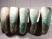Tato pedpotopní zubní protéza byla nalezena v italském mst Lucca.