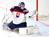 Sloventí hokejisté na MS 2017 propadají.