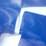 Mléko má kromě vápníku a jiných minerálů také vitamín D.
