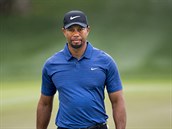 Tiger Woods u ml za svou kariéru pár problém.