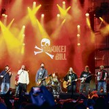 Divokej Bill patří mezi nejdražší české kapely.