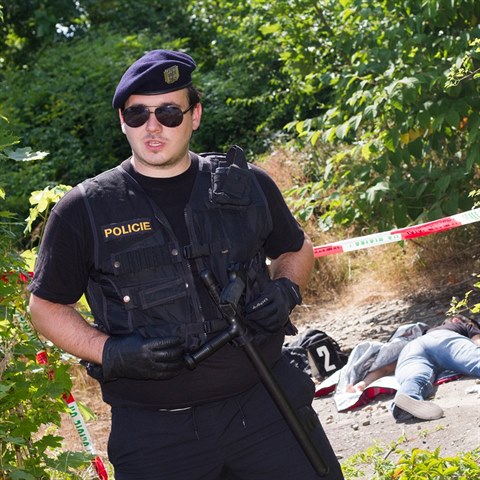 Ppad e policie. (ilustran foto)