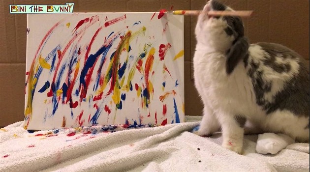 Talentovaný králík umí i kreslit