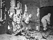 Co jste nevdli o bitv u Stalingrad
