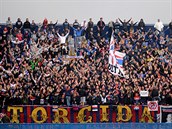 Torcida je svtov proslulá skupina fanouk chorvatského Hajduku Split.
