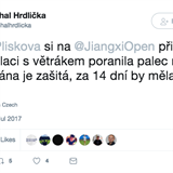 Tweet Michala Hrdliky o zrann Kristny Plkov.