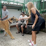 Andrea Bezdkov nakrmila tygra.