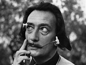 Salvadora Dalího exhumovali.