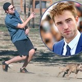 Robert Pattinson ml dajn run uspokojoval psa. On to vak odmtl.