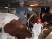 Farmá z Belgie napájí své krávy pivem, aby mly lepí maso.