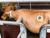 Dost lidí o tomto vynálezu netu�í.