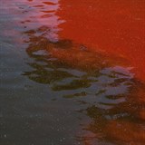 Vltava byla červenou barvou celá znečištěná.