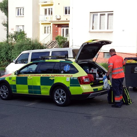 Zdravotnci dt pevzali od policist s probodnutm krkem.