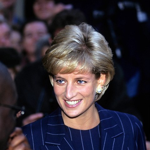 Jejm ptelem byl bohat Dodi Al-Fayed.