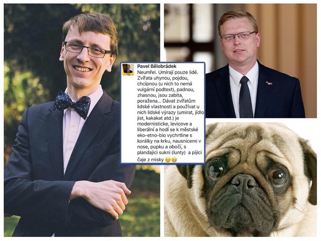 Politolog Matěj Trávníček soudí, že kontroverzní výrok o „chcíplých psech“ může...