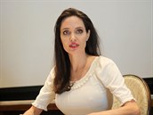 Angelina Jolie promluvila o rodinné krizi.