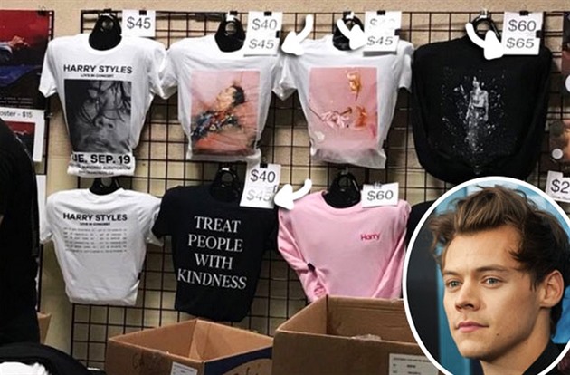 Harry Styles spustil svůj eshop! Diskriminoval ale některé fanoušky! -  OCKO.TV