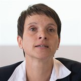 Lídryně AfD Frauke Petryová je velkou kritičkou sslámu.