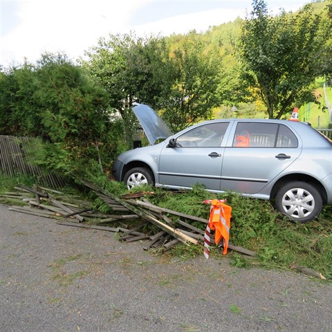 Jednaosmdes�tilet� �idi�ka jela od �umperka a podle policist� v d�sledku nevolnosti ztratila kontrolu nad ��zen�m.
