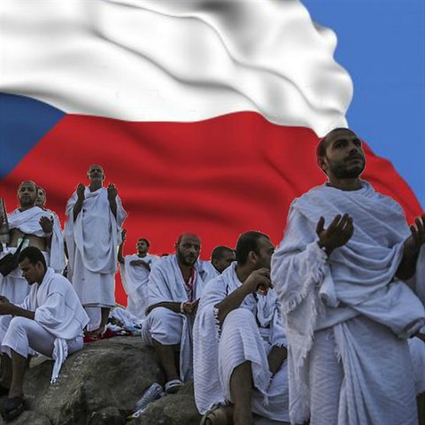 Má Muslimské bratrstvo skutečně v České republice nějaké aktivity?