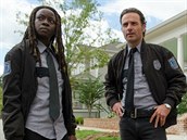 Rick a Michonne (Walking Dead)